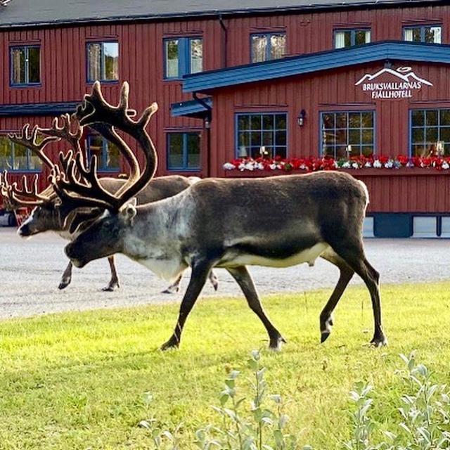 Bruksvallarnas Fjallhotell エクステリア 写真