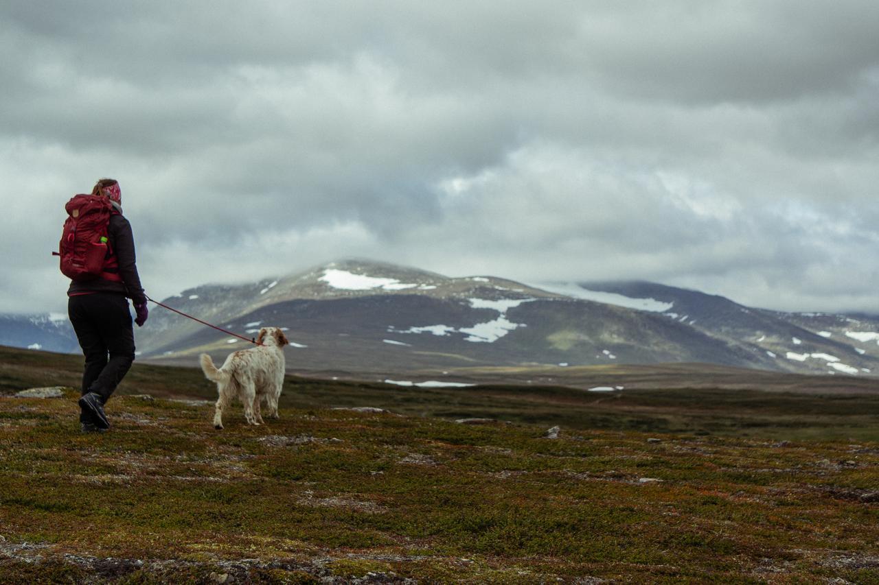 Bruksvallarnas Fjallhotell エクステリア 写真